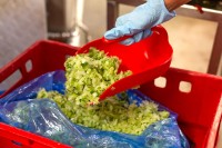 Vorschau: Ergonomische Vikan Handschaufel 2 Liter - zur Zugabe feuchter Zutaten Vorschau: Ergonomische Vikan Handschaufel 2 Liter - zur Zugabe feuchter Zutaten